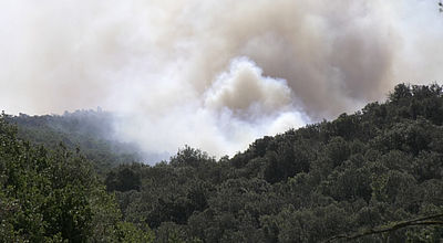 Aude : Plusieurs incendies ravagent le département