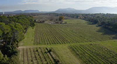 video | Intempéries dans le Languedoc, quelles conséquences pour les viticulteurs ?