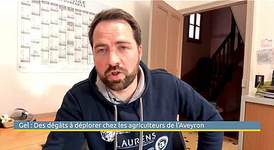 video | Une semaine de gel : L'inquiétude d'un vigneron de l'Aveyron