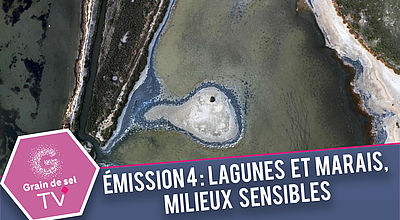 Lagunes et marais, des zones à protéger