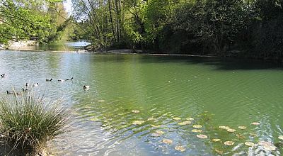 Castelnau-le-Lez : Interdiction de baignade et de pêche dans le Lez 