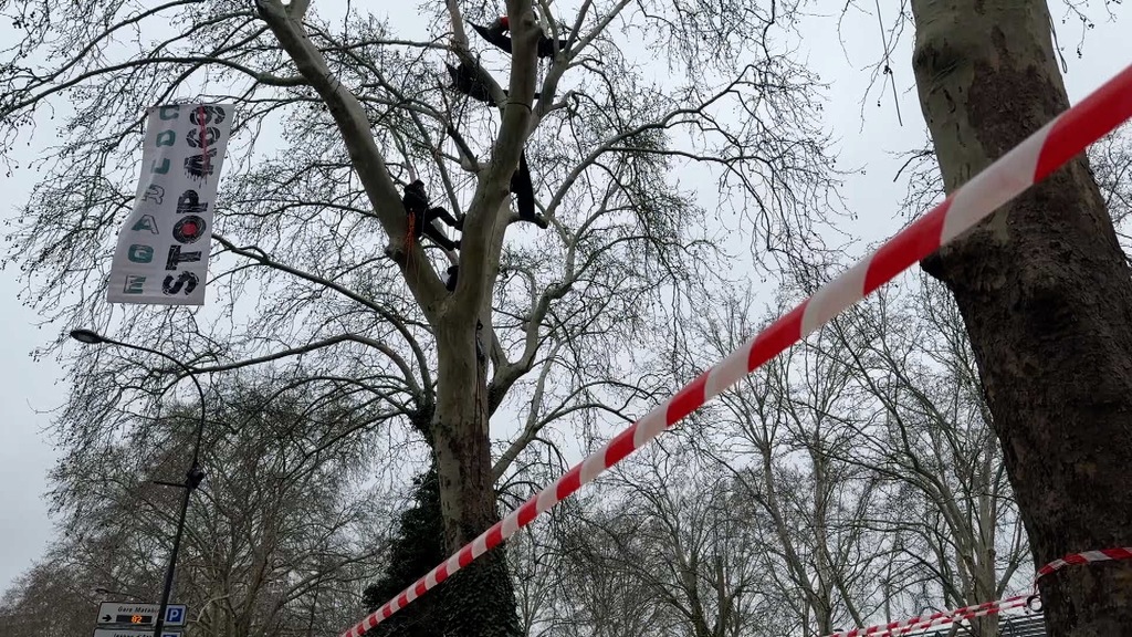 Projet A69 : 24 heures avant une audience décisive, des militants écologistes suspendus aux arbres faisant face au Tribunal administratif de Toulouse