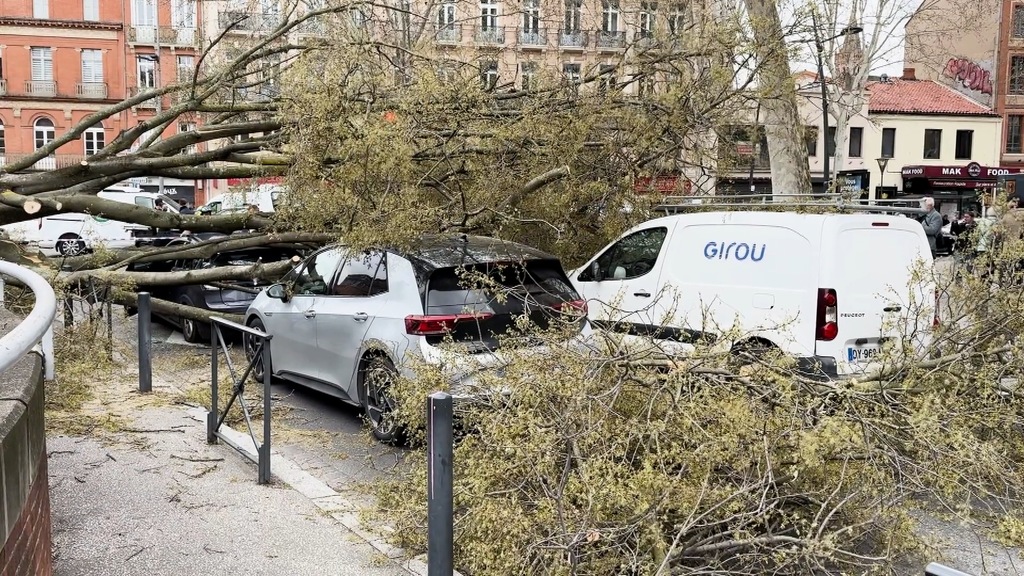 Un arbre arraché par le vent d'autan tombe sur quatre véhicules à Toulouse