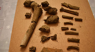 Des dents, des ossements et des sarcophages découverts par des habitants