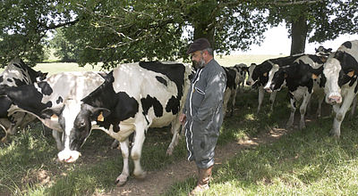 Soulagement pour les producteurs de lait du sud-ouest après un accord avec Danone