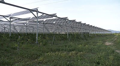 Le photovoltaïque, l'avenir pour les vignes d'Occitanie