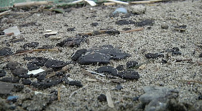 Argelès-sur-mer : Comment prévenir la pollution maritime ?