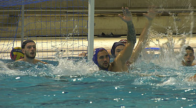 Water-polo / Élite : Montpellier veut retrouver de l'appétit... et l'Europe