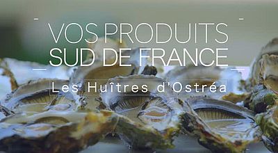 Vos produits Sud de France: Les huitres Ostréa (Version ST)