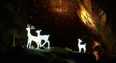 La magie de Noël s'invite à 42 mètres sous terre dans la grotte de Trabuc
