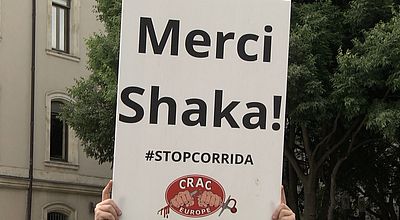video | Comité d'accueil et de soutien des anti-corridas pour Shaka Ponk avant son concert à Nîmes