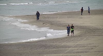 video | Le cordon dunaire de l'Espiguette renforcé pour lutter contre l'érosion marine