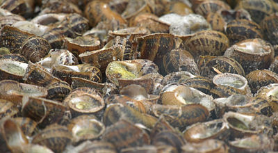 L'escargot : La star de la gastronomie catalane