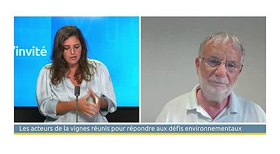 video | L'invité de 18h15 : Jean-Benoît Cavalier, vigneron et président de l’Aop-Languedoc