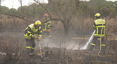 Déjà 90 hectares de végétation incendiés dans les Pyrénées-Orientales
