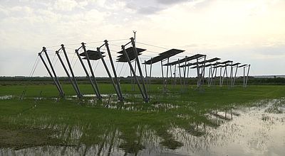 Agrivoltaïsme : EDF lance un test de panneaux photovoltaïques sur des rizières en Camargue