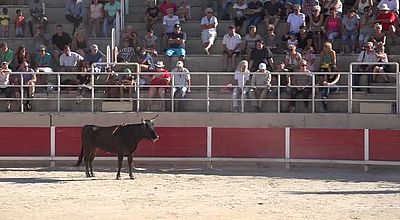 L’intégrale Camarguaise du Lundi 24 Juillet 2017 : Finale du Trophée Titi Boncoeur à Port-St-Louis-du-Rhône