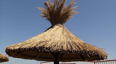 "Vendre de l'ombre", le business florissant des parasols en roseau