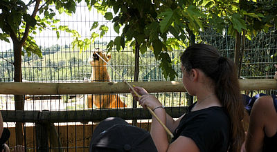 Zoo des 3 Vallées : Des visiteurs au plus près de la vie sauvage