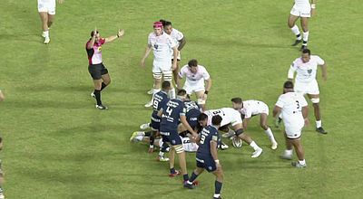 Rugby : Un duel de champions entre Toulouse et Montpellier