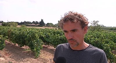 video | Aude: les vignobles analysés depuis l'espace