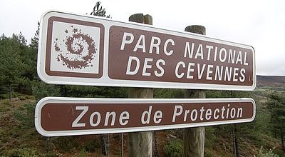 Parc national des Cévennes : 50 ans d'existence marqués par une accélération du réchauffement climatique