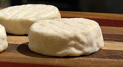 Pélardon : À la découverte des secrets de fabrication du petit fromage de chèvre AOP des Cévennes