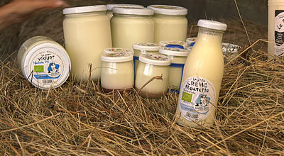 Lait de foin : Une production laitière de qualité et bio produite à Caussade