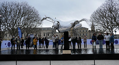 Zeus, le cheval de la cérémonie d'ouverture des Jeux de Paris pose sa silhouette à Montpellier