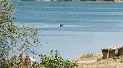 Lac de la Ramée à Toulouse : Ils se baignent malgré l'interdiction