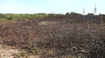 700 hectares brûlés dans l'Aude