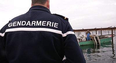 Vols d’huîtres sur l’étang de Thau : La gendarmerie renforce ses contrôles