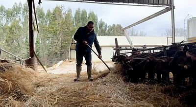 Sa ferme sauvée grâce à une cagnotte en ligne