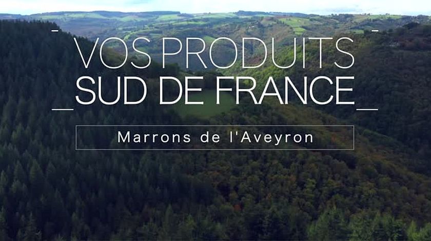 Vos produits Sud de France : Marrons de L'Aveyron