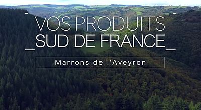 Vos produits Sud de France : Marrons de L'Aveyron