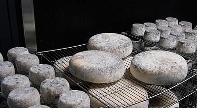 40 ans de savoir-faire en fromagerie chez Le Pic