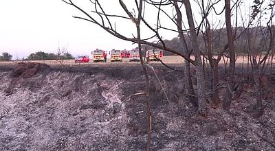 400 hectares de brûlés dans l'Aude à cause d'un barbecue mal éteint sur l'A61