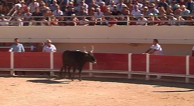 Noir et blanc du jeudi 25 Aout 2016 (1/4) - Retour sur le meilleur du Trophée des Impèriaux aux Saintes