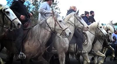 Abrivados tourné à Montpezat, Mauressargues et Espace la Cadoule