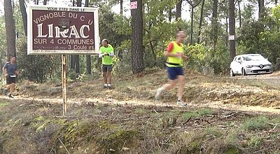 Le Semi-marathon des Côtes-du-Rhône, une course à travers le vignoble