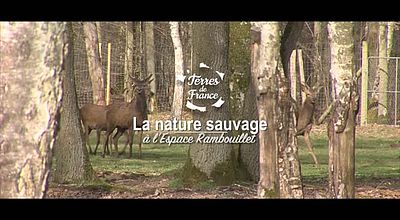 Terres de France, la Nature sauvage à l'Espace Rambouillet