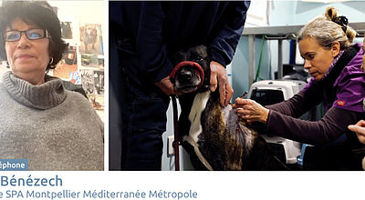 video | SPA Montpellier : Dernier refuge pour sauver, protéger et aimer les animaux