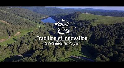 Tradition et innovation : le bois dans les Vosges
