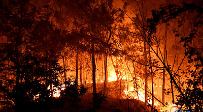 Incendie (Gard) : 620 hectares brûlés, 100 personnes évacuées et le feu n'est pas encore fixé