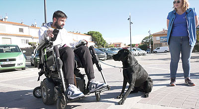 Handicap : former les chiens d'assistance à accompagner leurs nouveaux maîtres