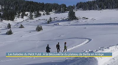 PAD Les balades du Petit Futé : À la découverte du plateau de Beille en Ariège
