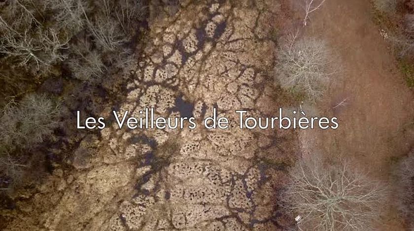 REPLAY : Les veilleurs de tourbières