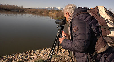 Opération Wetlands : Début du recensement européen des oiseaux d'eau