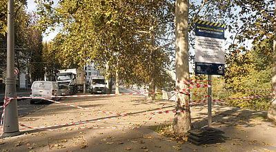 Contamination au chancre coloré, 39 platanes condamnés à l'abattage