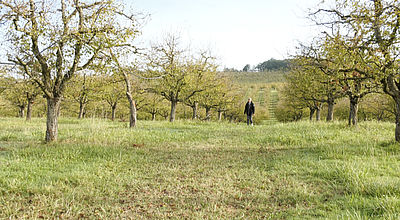 Les agriculteurs et producteurs bio en Occitanie en grande difficulté